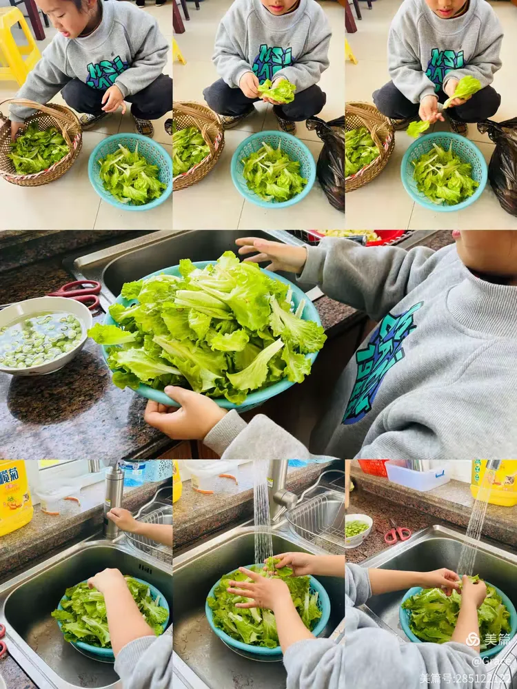 "择菜学问真不少 家务劳动看我的"